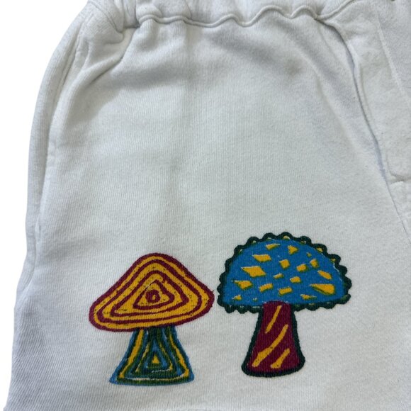 MOTHER Jeans The Quickie Roller Short Fray Sunshiney Day Sz S - Picture 10 of 14